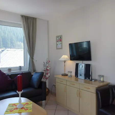 In Mit Balkon, Cleaning Included Willingen (Upland)