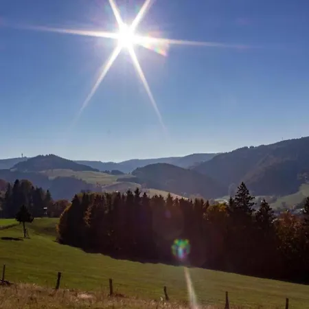 In Mit Balkon, Cleaning Included Apartment Willingen (Upland)