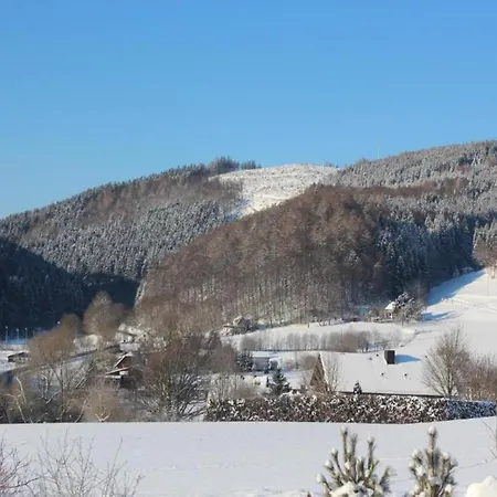 In Mit Balkon, Cleaning Included Apartment Willingen (Upland)