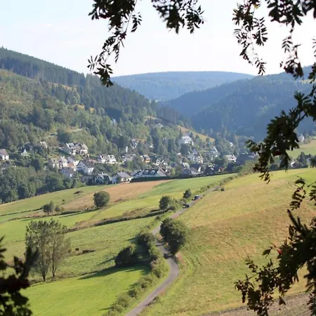 Apartment In Mit Balkon, Cleaning Included Willingen (Upland)