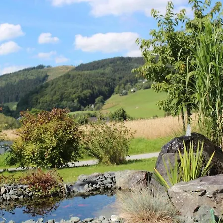 In Mit Balkon, Cleaning Included Willingen (Upland)