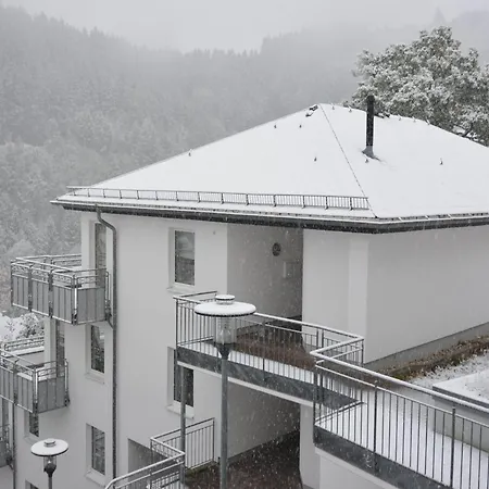 In Mit Balkon, Cleaning Included Apartment Willingen (Upland)